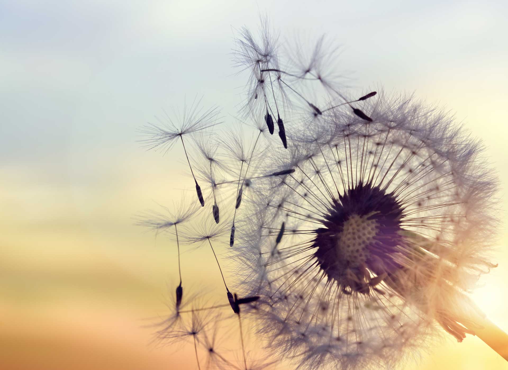 Anlässe für Psychologische Beratung