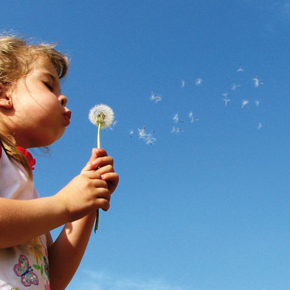Psychologische Beratung