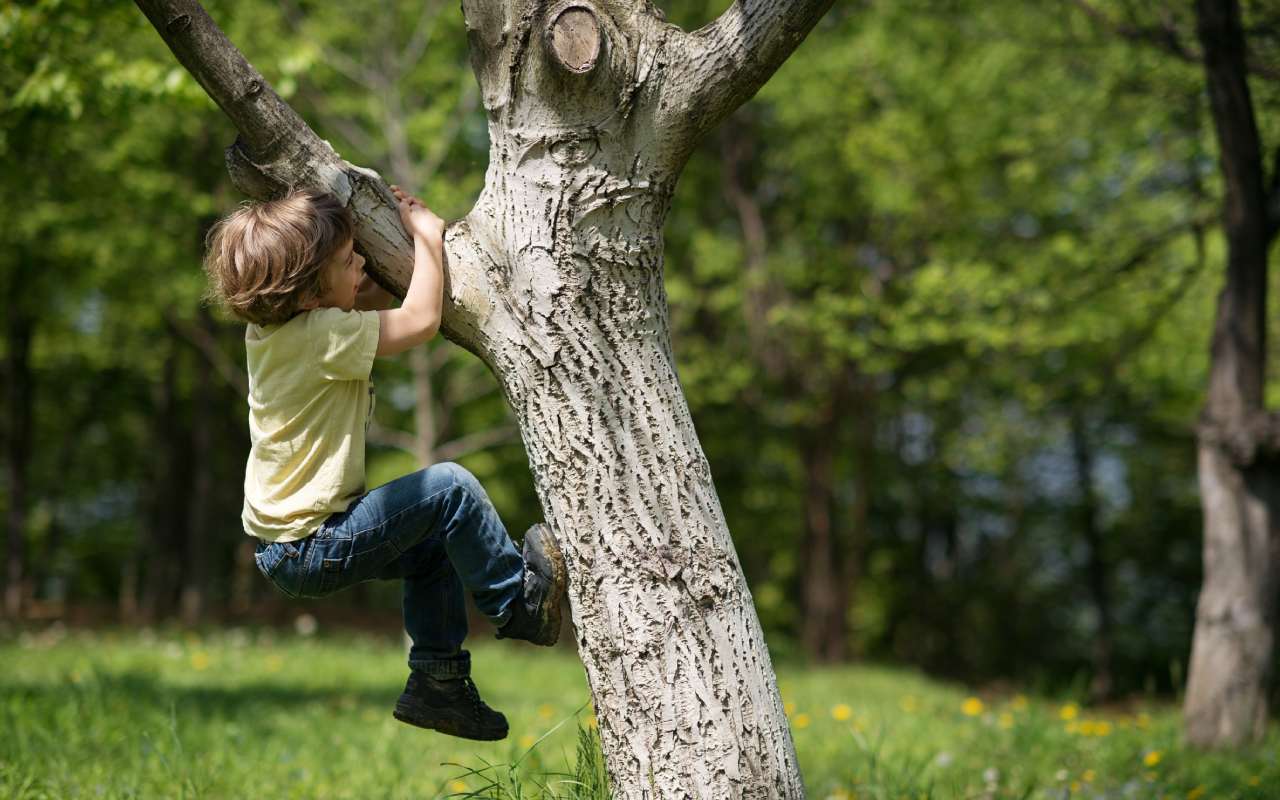 Neurophysio­logische Entwicklungs­förderung bietet gezielte Hilfe